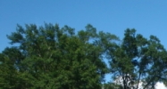 Highway 25 Folsom, LA 70437 - Image 14477164