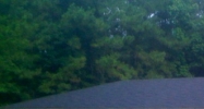 5902 Buncombe Road Shreveport, LA 71129 - Image 14478495