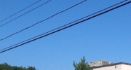 24 Jolma Road Worcester, MA 01604 - Image 14478601
