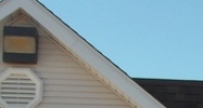 10167 Bergin Rd Hartland Twp Howell, MI 48843 - Image 14480721