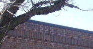 IL Addison, IL 60101 - Image 14481061