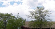 828 Wooten Road Colorado Springs, CO 80915 - Image 14484237