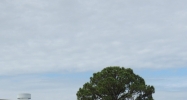 5623 Lawton Drive Sarasota, FL 34233 - Image 14486429