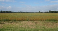 Lot 3 Ecker Lakeland Drive Chilton, WI 53014 - Image 14488023