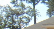 5304 7th Street East Bradenton, FL 34203 - Image 14488162
