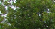 6110 Clark Center Ave Sarasota, FL 34238 - Image 14488264