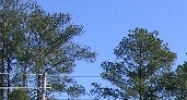 5719 Hwy 25 Flowood, MS 39232 - Image 14488738