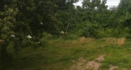 0008 Highway 61 South Natchez, MS 39120 - Image 14488754