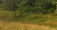0006 Highway 61 South Natchez, MS 39120 - Image 14488756