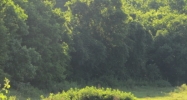 245 Mail Loop Rd South Pittsburg, TN 37380 - Image 14488967