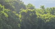 245 Mail Loop Rd South Pittsburg, TN 37380 - Image 14488961
