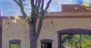 517 S Cascade Ave Colorado Springs, CO 80903 - Image 14490034