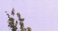 0 North Hansel Lane Channahon, IL 60410 - Image 14490116