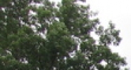1448 Gardiner Lane Louisville, KY 40213 - Image 14491437
