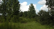 Highway 542 E. Lakeland, FL 33801 - Image 14499711