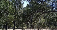 10855 HODGEN ROAD Colorado Springs, CO 80908 - Image 14510442