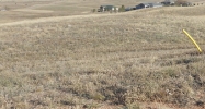 5120 Roundup Ridge Rd Colorado Springs, CO 80908 - Image 14510447