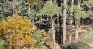 11745 Howells Rd Colorado Springs, CO 80908 - Image 14510448