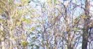 5 Playhouse Ln Woodstock, NY 12498 - Image 14510762