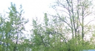 85 Mill Hill Rd Woodstock, NY 12498 - Image 14510759