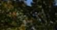 US Highway 64 Ocoee, TN 37361 - Image 14512298