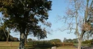 US Highway 64 Ocoee, TN 37361 - Image 14512308