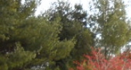 4A Wilder, VT 05088 - Image 14512561