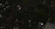 160 Palmer Ct Wilder, VT 05088 - Image 14512563