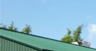 458 Hurricane Lane Williston, VT 05495 - Image 14512567