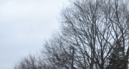 523 West 38th Street Anderson, IN 46013 - Image 14513084