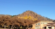 14275 HIGHWAY 115 Colorado Springs, CO 80926 - Image 14514707