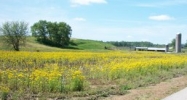 4205 Middle Road Jeffersonville, IN 47130 - Image 14515520
