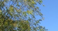 3200 Greenfield Road Dearborn, MI 48120 - Image 14515851