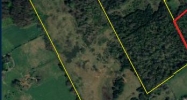 6465 Bracket Road Knoxville, TN 37938 - Image 14515925