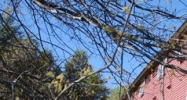 16 Hemlock Ridge Dr Wilder, VT 05088 - Image 14516854