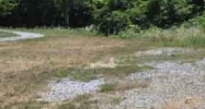 12805 Chapman Hwy Seymour, TN 37865 - Image 14517758