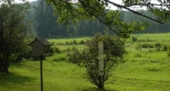 3215 W Blue Lick Rd Shepherdsville, KY 40165 - Image 14518007