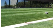 8955 Drennan Colorado Springs, CO 80925 - Image 14518322