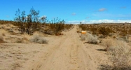 Sunkist  Avenue Joshua Tree, CA 92252 - Image 14529482