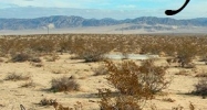 67015 Daisy Ln Joshua Tree, CA 92252 - Image 14529484