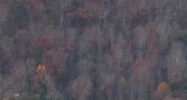 9449 Dayton Pike Soddy Daisy, TN 37379 - Image 14531232