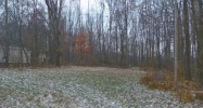 17723 Brownsville Rd Vandalia, MI 49095 - Image 14542416