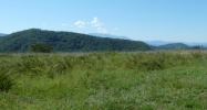 Mountain Ash Way Sevierville, TN 37876 - Image 14576659