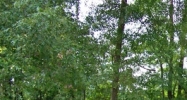 34822 Louisiana 1019 Denham Springs, LA 70706 - Image 14576888