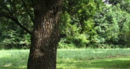 930 W Fisher Rd. Shepherdsville, KY 40165 - Image 14577498