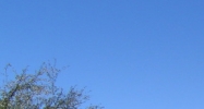 3990 N Lockwood Ridge Rd Sarasota, FL 34235 - Image 14577675