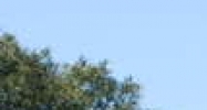 11331 US Hwy 301 S. Riverview, FL 33578 - Image 14577839