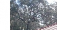 10420 U.S. 301 Riverview, FL 33578 - Image 14577841