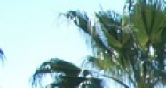 10700 S.R. 54 New Port Richey, FL 34655 - Image 14578406