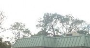 901 Curlew Road Dunedin, FL 34698 - Image 14579995